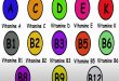 La vitamine la plus importante pour ale corps humain