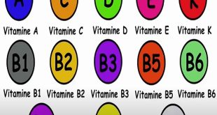 La vitamine la plus importante pour ale corps humain