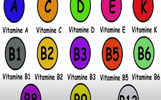 La vitamine la plus importante pour ale corps humain