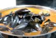 ÉVENTAIL DE MOULES A LA TOMATE