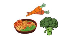 Rôle des aliments dietetiques dans l'organisme