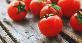 COMMENT CHOISIR UNE TOMATE