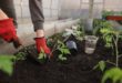 Comment créer un jardin chez soi
