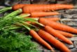 Comment utiliser la carotte en cuisine