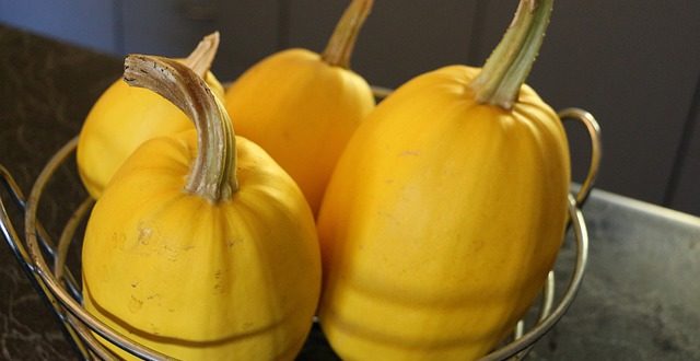 Comment utiliser la courge spaghetti