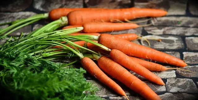 Que manger avec des carottes cuites