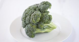 Tout savoir sur la consommation du brocoli