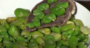 Peut on congeler des fèves cuites ?