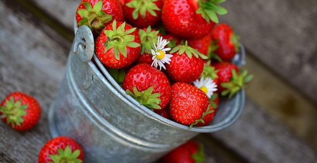 Bienfaits des fraises pour la santé
