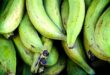 Les bienfaits de la banane plantain