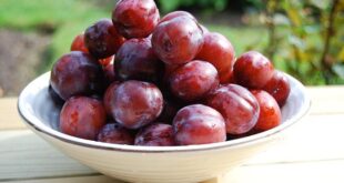 Bénéficier les bienfaits de la prune