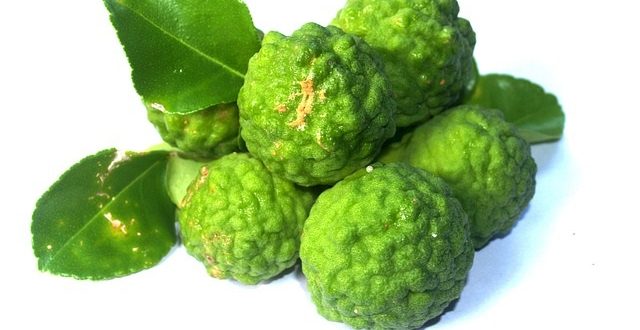 Comment consommer la bergamote