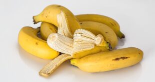 Connaître les bénéfices du banane