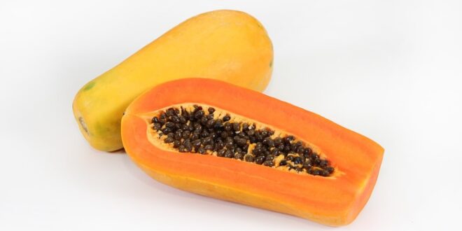 Peut on manger les graines de papaye