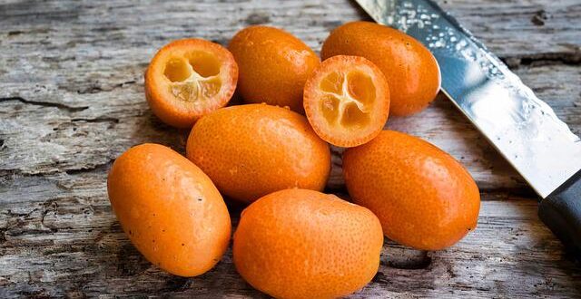 Pourquoi manger le fruit kumquat