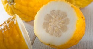 Que faire avec du cédrat frais ?