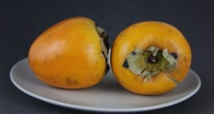 Kaki fruit bienfaits comment le manger