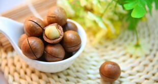 Combien de noix de macadamia par jour