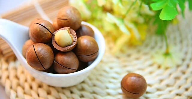 Combien de noix de macadamia par jour
