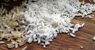 Importance du riz dans le monde