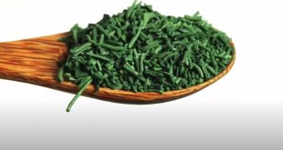 Spiruline Combien de temps pour agir ?