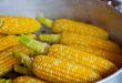 Comment faire du pop-corn avec du maïs frais