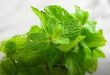 Comment utiliser la menthe dans son assiette