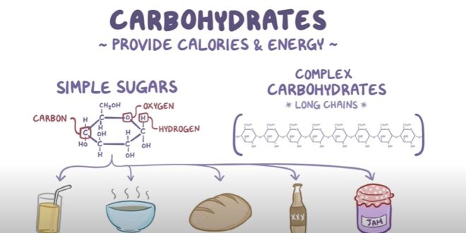Hydrate de carbone en nutrition