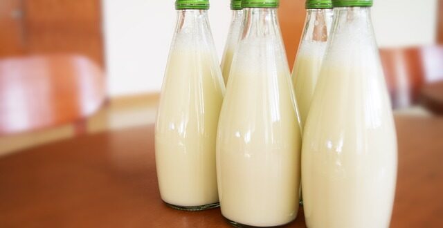 Tout savoir sur la consommation du lait