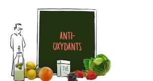 Aliments antioxydants les plus puissants