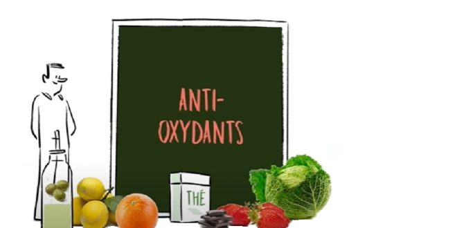 Aliments antioxydants les plus puissants