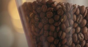 Comment reussir la torréfaction du café