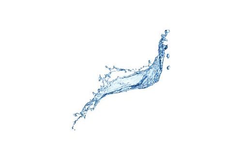 Introduction sur l'importance de l'eau