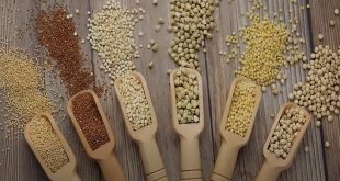 Quelles sont les meilleures graines pour la santé