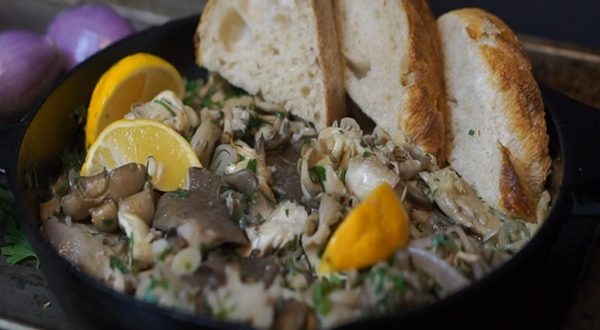 Huîtres chaudes au vin blanc aux champignons