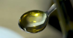 Conseils qui visent à réduire les matières grasses