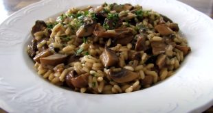 Risotto aux champignons d'Elizabeth baird ingrédients