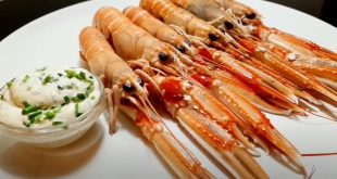Temps de cuisson langoustines au court-bouillon