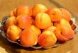 Recette bouton d’or aux abricots faciles