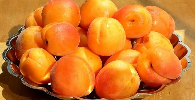 Recette bouton d’or aux abricots faciles